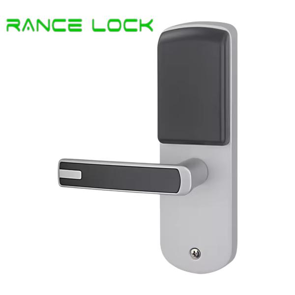 Tuya Wifi Controlled Door Lock Zinc alloy Keyless Fingerprint Door Lock Silver