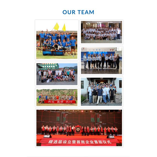 Medical Rechargeable Tongue Depressor Set Steel Diagnostic Otoscope Ent