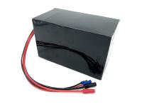 Batterie de scooter 24V 48V E 15Ah 20Ah 30Ah 40Ah Batterie au lithium-ion avec chargeur