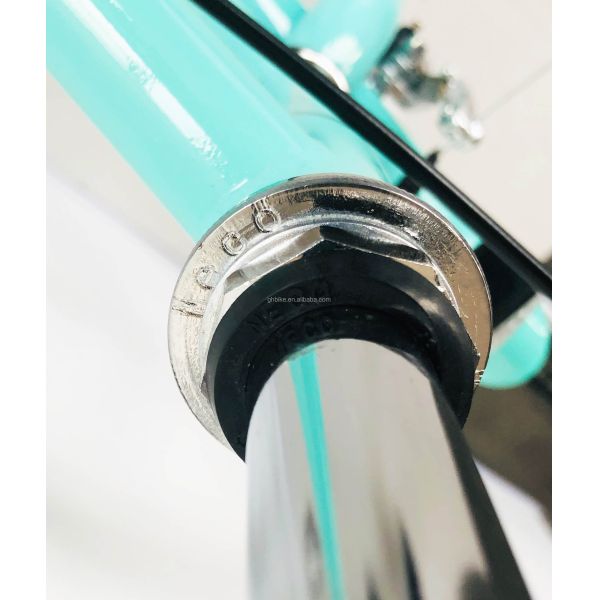 700C Hi-Ten Steel Frame USA OEM Women City Bike with 7 Speeds and Aluminum Alloy Rims