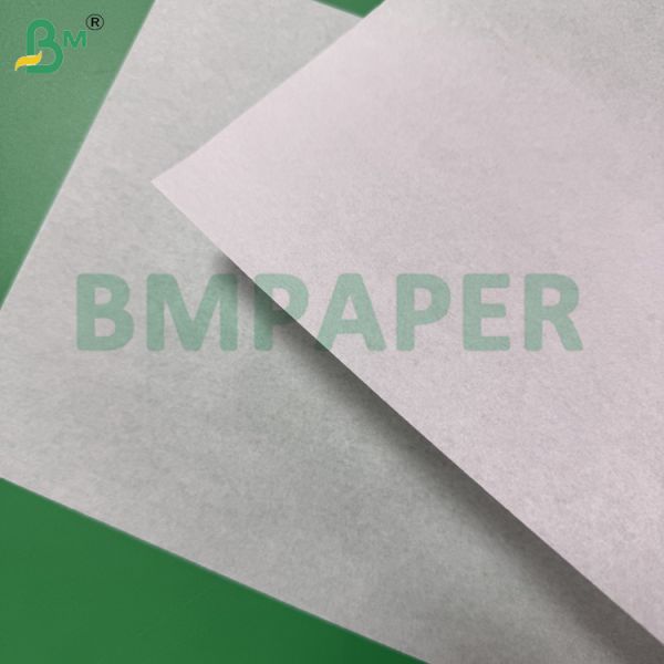 40gsm Food Grade Color Paper Roll For Making Cupcake Mould Muffin Holder