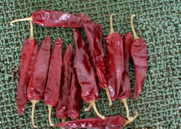 O prêmio novo da colheita secou o pimentão de Guajillo