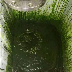 разделитель стога диска spirulina