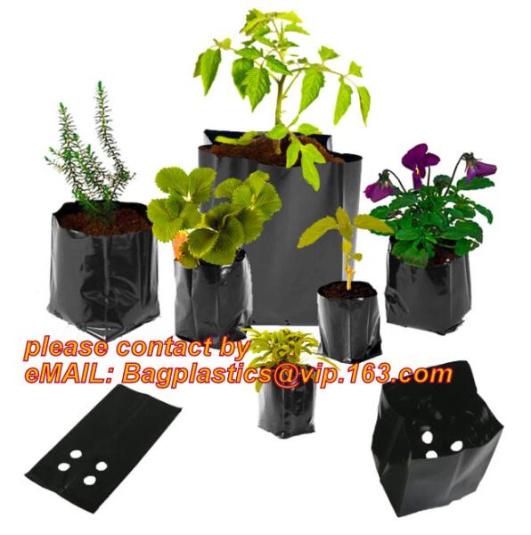 Garden Vertical Planter Multi Pocket Wall Mount Living Growing Bag Felt Indoor/Outdoor Pot