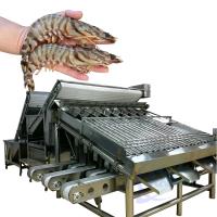 Classificateur de transformation de crevettes de fruits de mer Automatique de pêche rapide Classificateur de taille de crevettes de ligne de production de crevettes