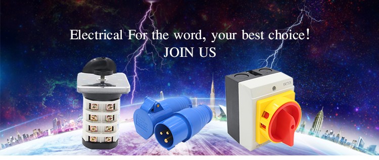 4 Pole Electromagnetic Type RCCB Residual Current Circuit Breaker AC 25a 40a 63a RCD Copper 4 Pole RCCB