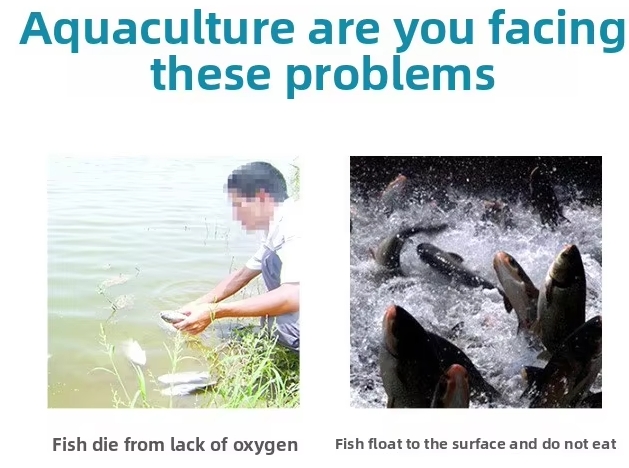 Aquaculture Large Pond Jet Aerator Insulation Resistant 2HP 1.5KW
