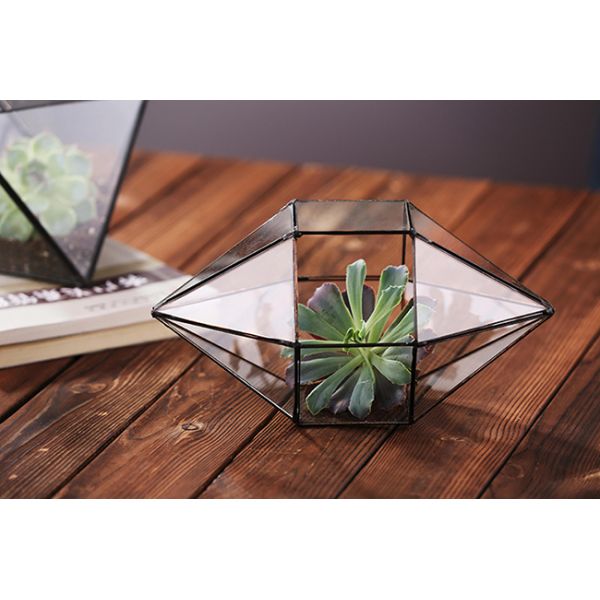 Diamond Shaped Clear Glass Vase , Durable Geometric Terrarium Glass Vases