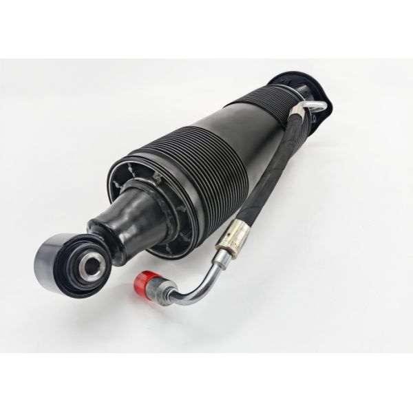 SL-Class R231 Mercedes Benz Rear Right Hydraulic Shock Absorber 2313209413