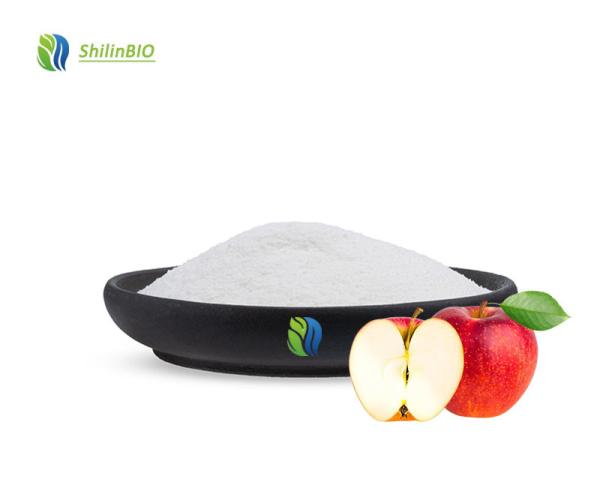Apple Cider Vinegar Powder 10% Total Acid