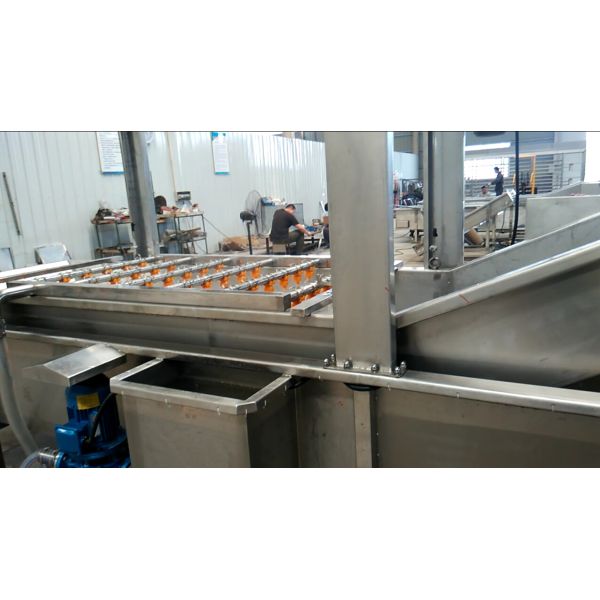 Fresh Fruit And Vegetable Processing Machinery Cleaning Equipment High Efficiency