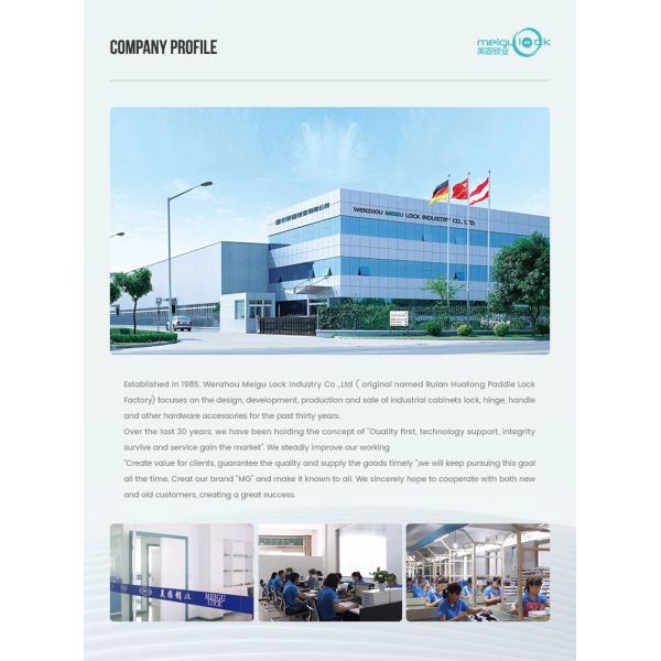 Ящик для инструментов ODM запирает дверной замок с защелкой цвета серебра из нержавеющей стали