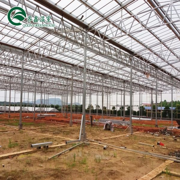 Customized Glass-Covered Vegetable Greenhouse for Restaurant Growth