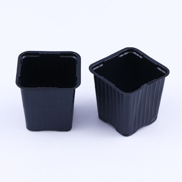 Customized square vacuum formed black PP PS plastic plant planting pot basin transplanting garden maintenance tray
