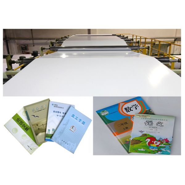 Glossy Poster Printing Paper , Hard Cardboard Printing Paper Customizable
