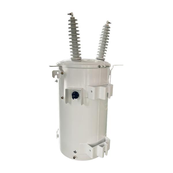 100KVA Single Phase Pole Overhead Distribution Transformer Oil Immersed 34500V To 120V