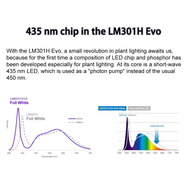 BAVAGREEN 240W Samsung LM301H EVO Mint White LED Pflanzenlampe IR UV Full Spectrum Led Grow Light For 80x80x180 Growbox