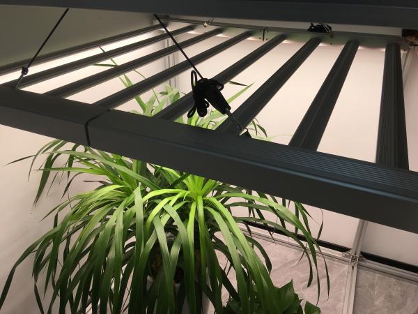 680W ETL approval UV LED Grow Lights bar with full spectrum for medical plants grow systems