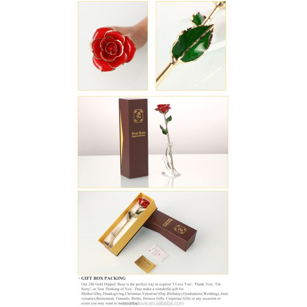 24K Gold  Rose  Golden Rose  Real Preserved Fresh Eternal Rose Flower for Valentines Day Mother's Day and Christmas