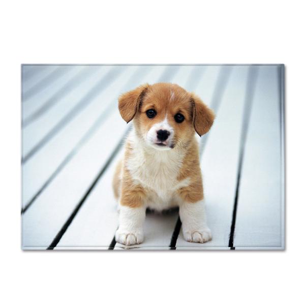 Animal New Cartoon Large Carpet Source Wholesale Feather ins Style Bedroom Floor Mats