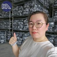 ISO移動可能なNestainerの貯蔵はパレットを倉庫のための4つの層悩まします