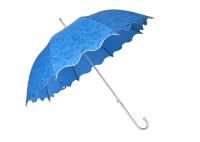 Filigrane bleu imprimant le cadre promotionnel d'aluminium de taille de Standsard de parapluies de cadeaux