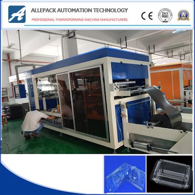 Full Automatic Driving Plastic Thermoforming Machinee For Fruit Clamshell Box