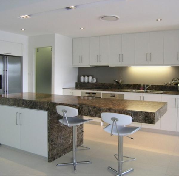 Paint Door Finish Solid Wood Kitchen Cabinets Solid Wood Material Blum / Dtc Hardware