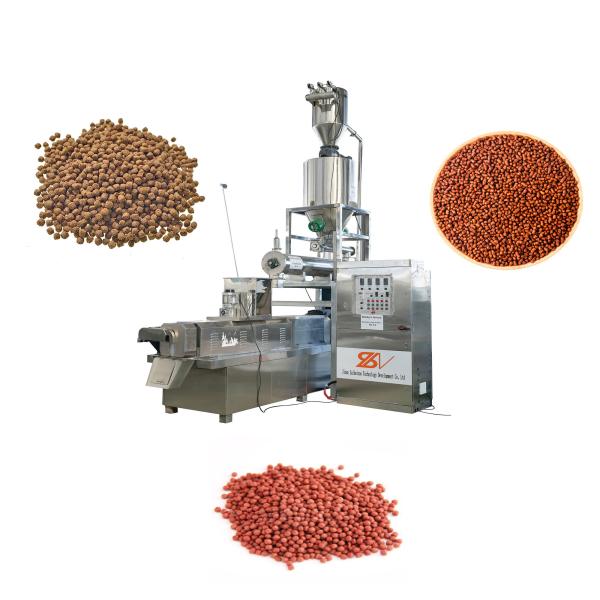 SBN Fully Automatic Stainless Steel Fish Feed Processing Line