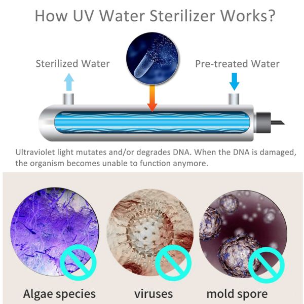 Filtre à eau ultraviolette en acier inoxydable pour équipement de traitement de l'eau potable