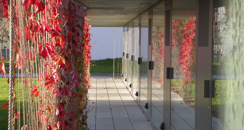 Smooth Surface Stainless Steel 316 Wire Rope Mesh For Plant climbing