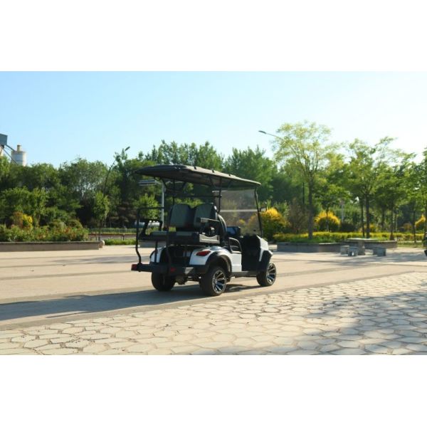 New 2+2 Seater Electric Golf Cart With Top Speed ​​Of 40mph And 12 Inch Road Tires Steel Body Mph Showed