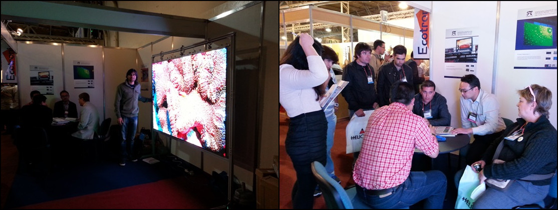 Умный экран рекламы СИД столба уличного фонаря поддержал 3G 4G