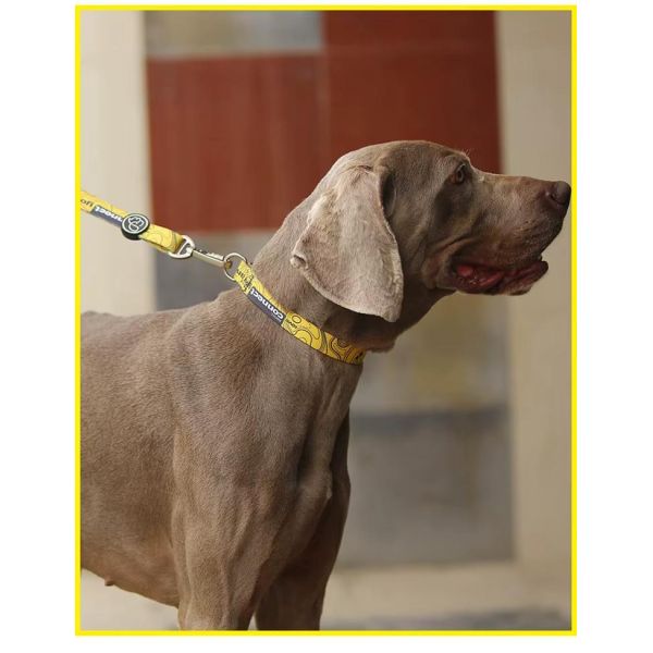 Stylish Dog Collar And Leash Set Custom Pet Collars Fashionable With Skin Friendly Material