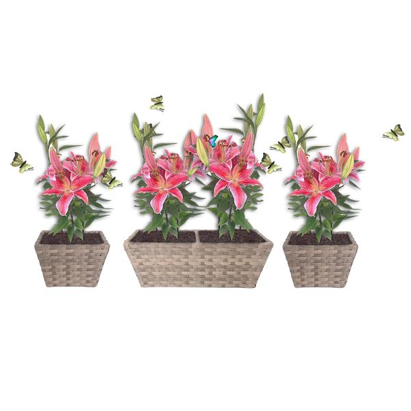 Factory Hot Sale Metal Frame Set of 3 Plastic Pots Home Garden Planter Stand