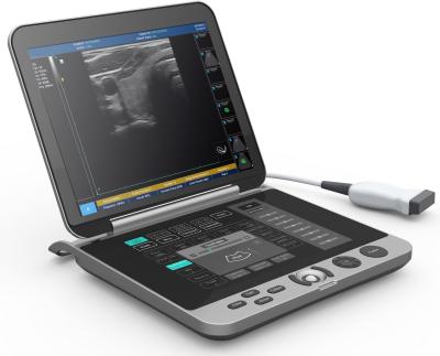 High Resolution  Laptop B/W Ultrasound MSK  Ultrasound Scanner  Laptop Ultrasound Machine