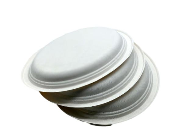 17g 10 Oval Biodegradable Sugarcane Bagasse Plates