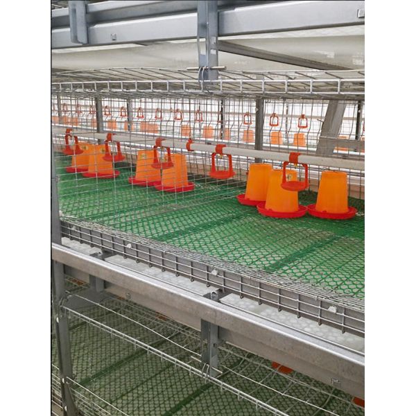 Aluminum Magnesium Zinc Coated Frame Poultry Cage Equipment Retractable Seeder Homogenizer Integrated