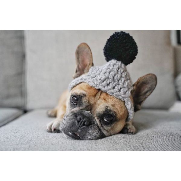 Y-Z Dog Clothing Accessories Handmade Dog Beanie with Pom Pom Crochet Knit Dog Hat Gift