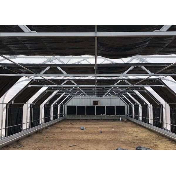Heat Preservation Blackout Light Deprivation Greenhouse Single Span Automatic
