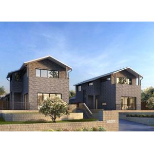 Роскошные полуфабрикат стальные наборы дома освещают доказательство землетрясения железного каркаса хорошее