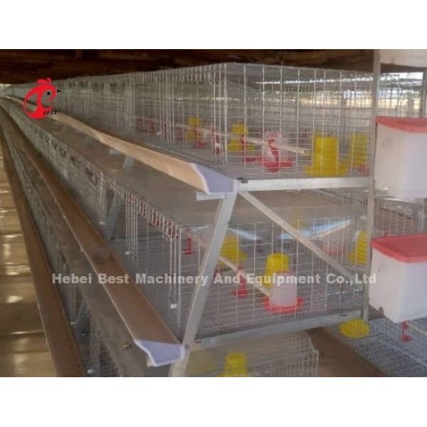 High Resilience H Type Broiler Cage Hot Galvanized Low Carbon Steel Adela