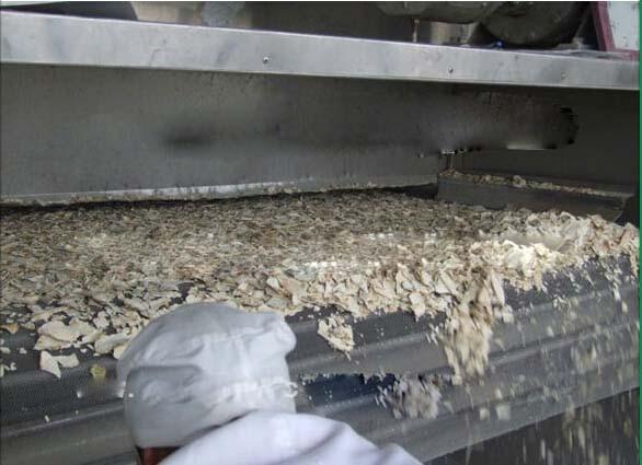 Dehydrated Vegetable Food Making Machine Vegetable Fruits Processing Machine