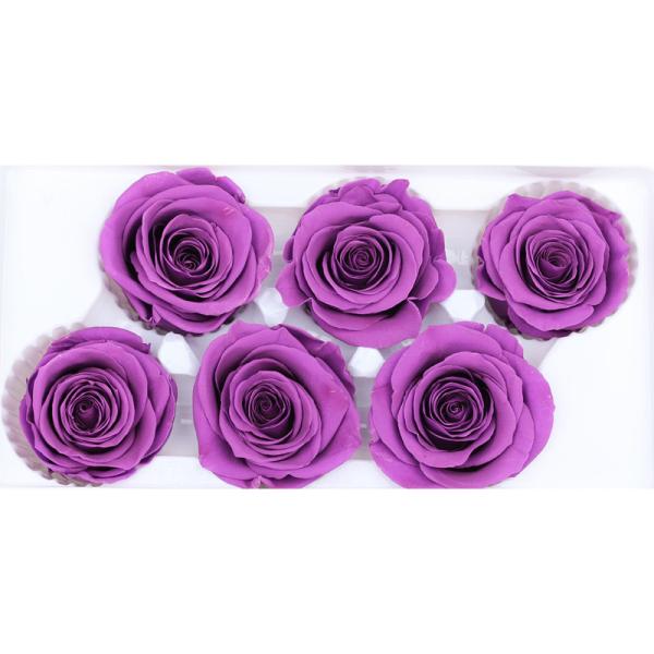 Colorful Allergy Friendly A Grade 5-6cm Preserved Rose Heads