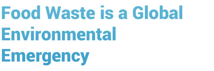 7L Food Cycler Compostador eléctrico para interiores Biológico Fertilizante orgánico rico