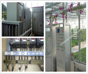 Agriculture Polycarbonate Venlo Type Greenhouse For Planting Tomatoes