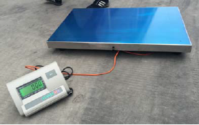 Acier inoxydable 304 balances de chien bas du plateau 150kg