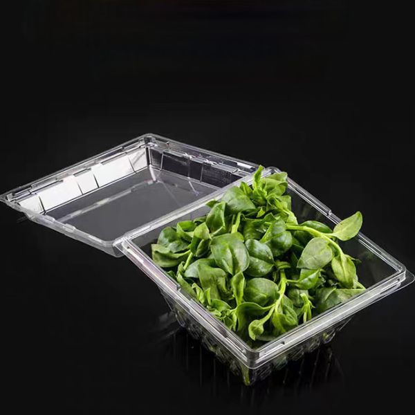 Encastrement à base d'herbes et de coquillages en plastique