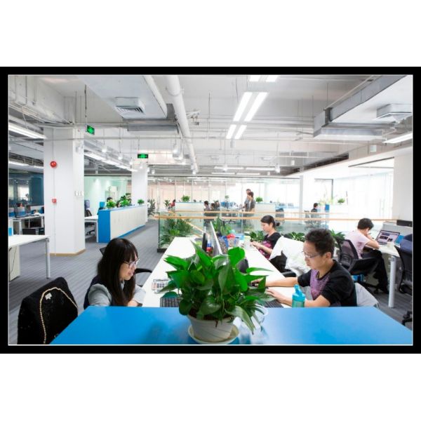 Подшипник мотора шарикоподшипника паза размера РЛС20 дюйма глубокий не стандартный для сельскохозяйственной техники