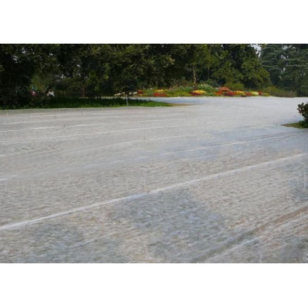 Nonwoven Weed Barrier Fabric – Durable , Breathable Ground Cover for Gardens & Farms